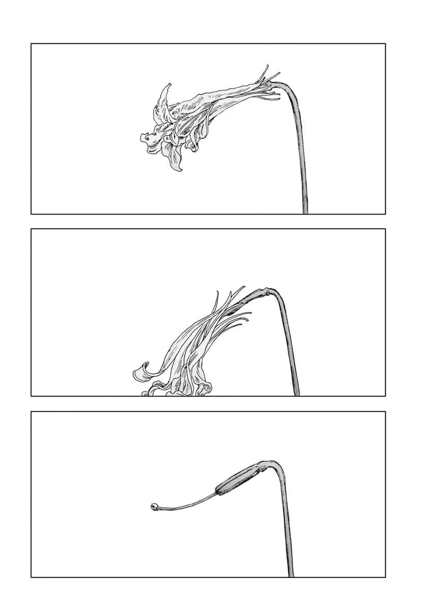 18.png