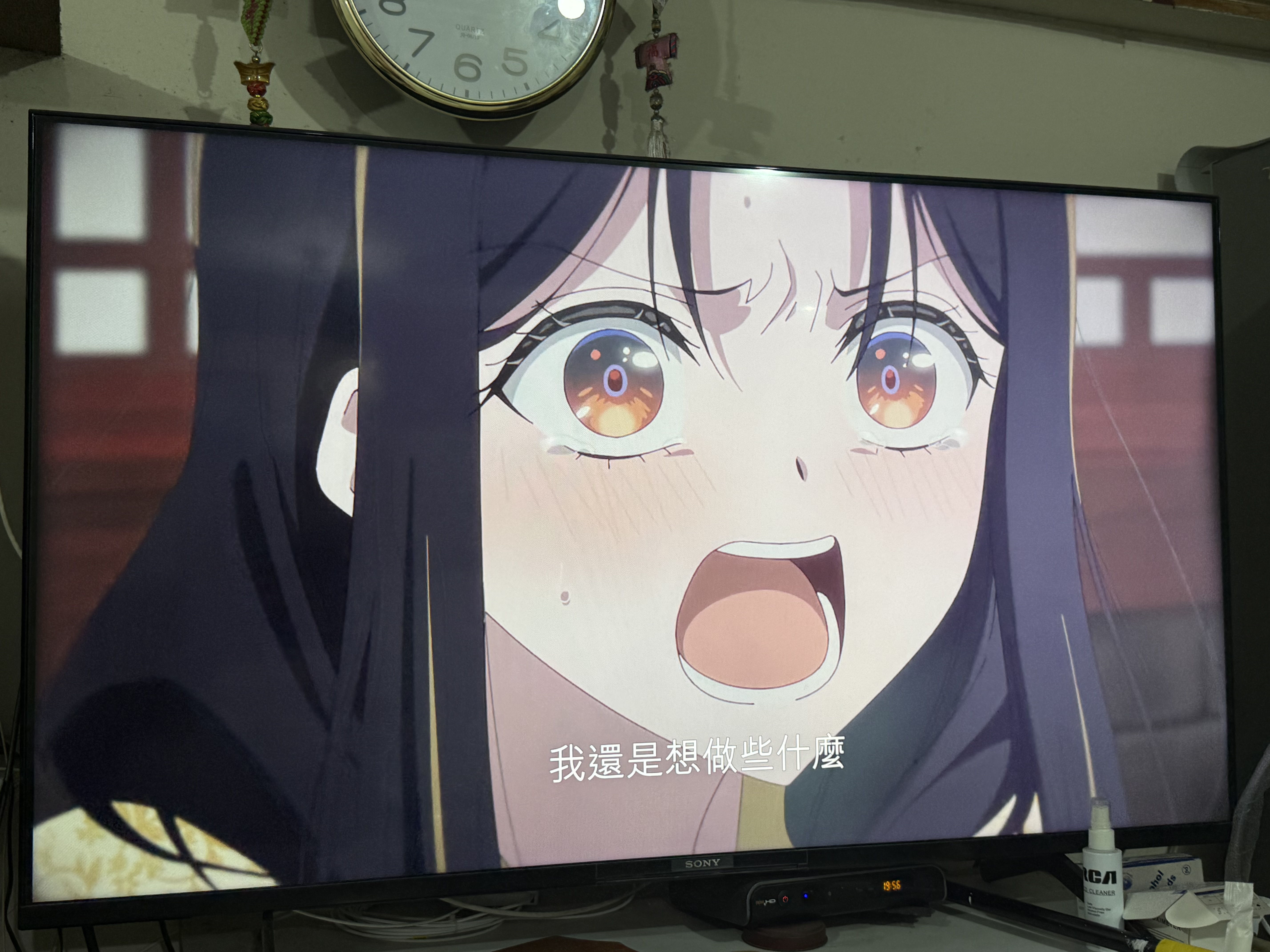 IMG_2660.jpeg